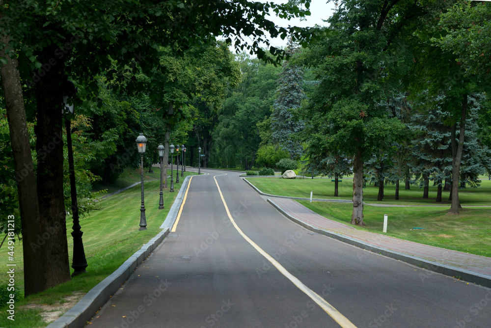 Highway through summer forest. Green trees beside of road going in the upward. Highway through summer forest. Green trees beside of road going in the upward.