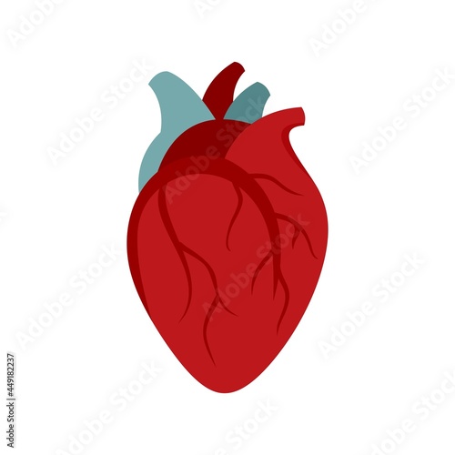 Biology human heart icon flat isolated vector