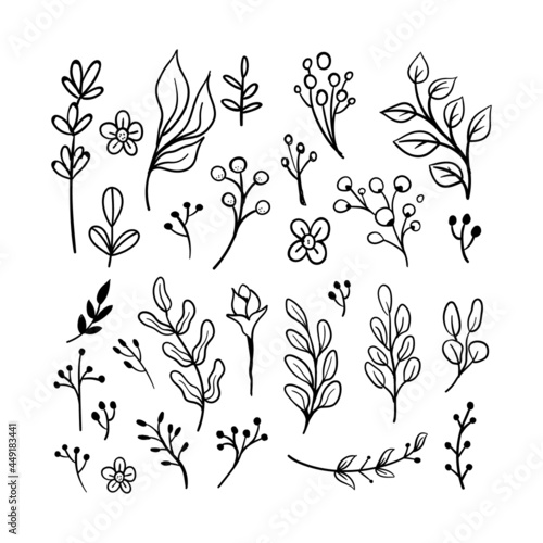 Floral graphic elements big vector doodle set. Flowers and plants hand drawn illustrations. Branches and leaves.