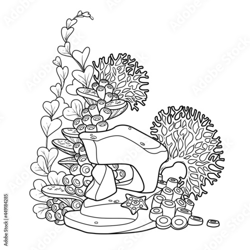 Sandstone on which algae, corals and sponges grow object coloring book linear drawing isolated on white background