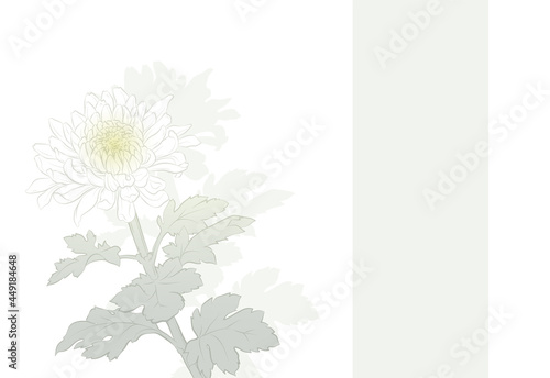 菊の花の喪中はがき（文字無し）