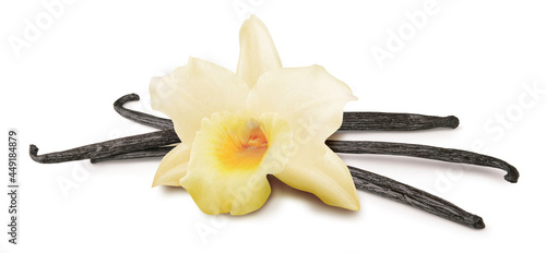 Vanilla flower with sticks isolated on white background