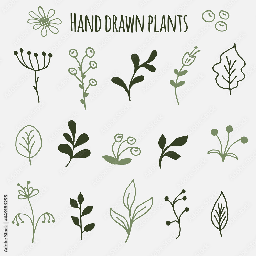 Vector hand drawn floral set of elements for design Vector hand drawn floral set of elements for design