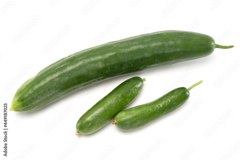 Fresh japanese cucumber and mini cucumbers isolated on white background. Healthy food Fresh japanese cucumber and mini cucumbers isolated on white background. Healthy food