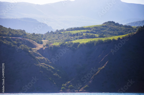 Wallpaper Mural Aerial landscape of ocean bay greenery cliff shore at sand beach. Epic view of mountain island with green tropic forest Copy space. Torontodigital.ca