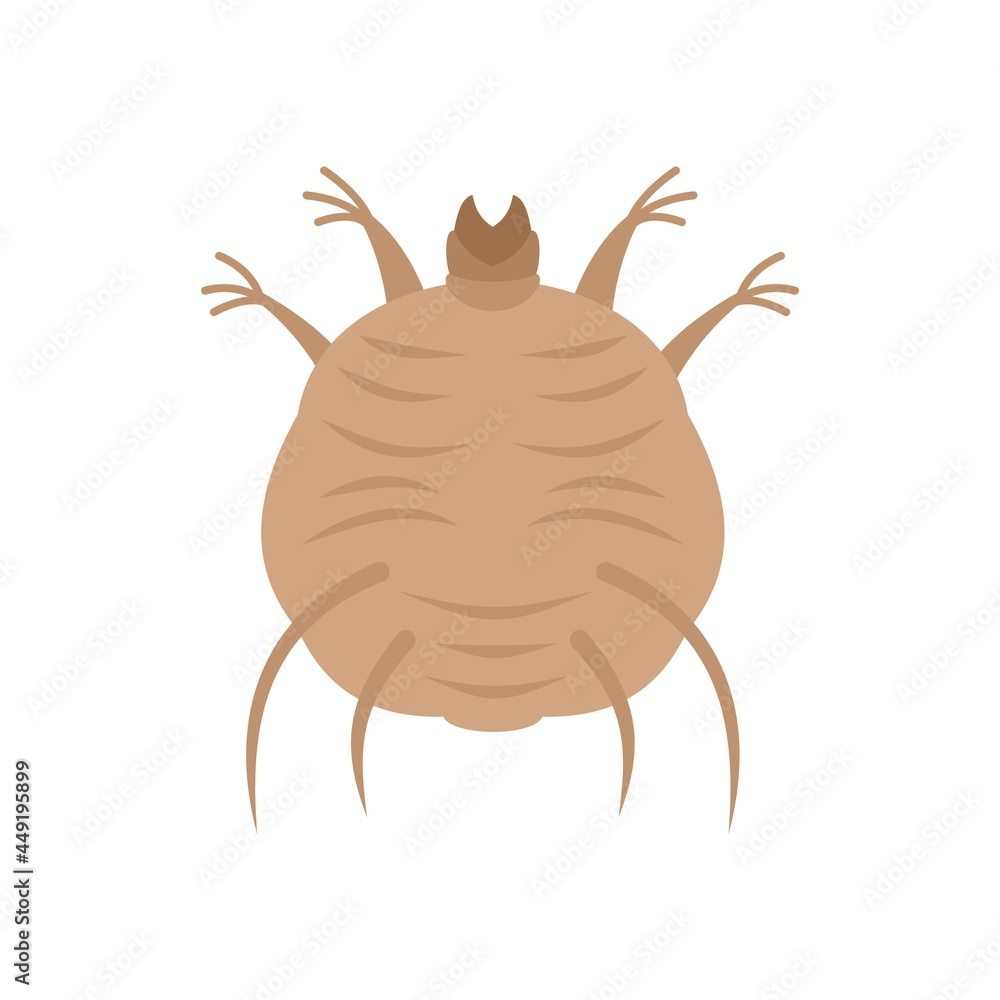 Obraz premium Bug icon flat isolated vector