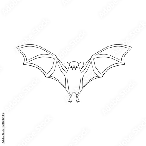 Vampire Bat