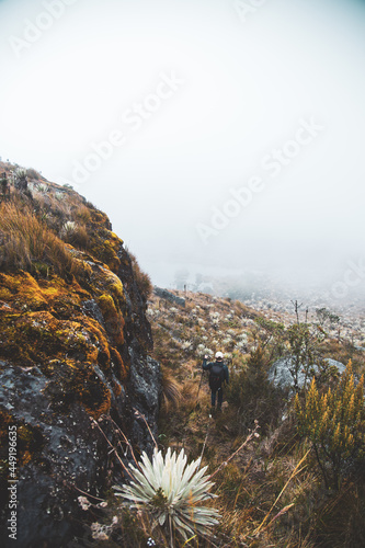 Sumapaz Páramo Colombia