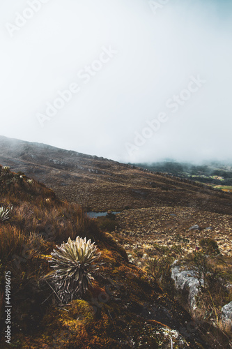 Sumapaz Páramo Colombia