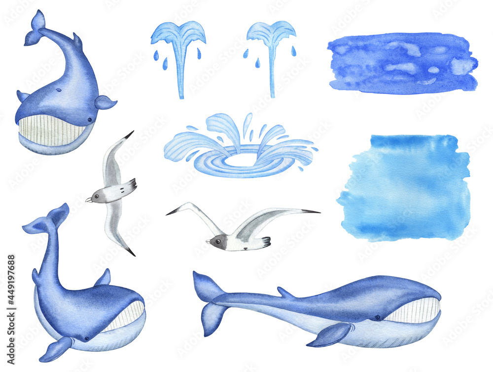 Obraz premium Watercolor Blue Whales, seagull birds and water drops isolated on white background