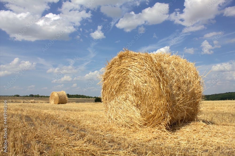 Haystack on a field assembled by a tractor. Close-up from below against a blue sky with clouds and a view of the field.