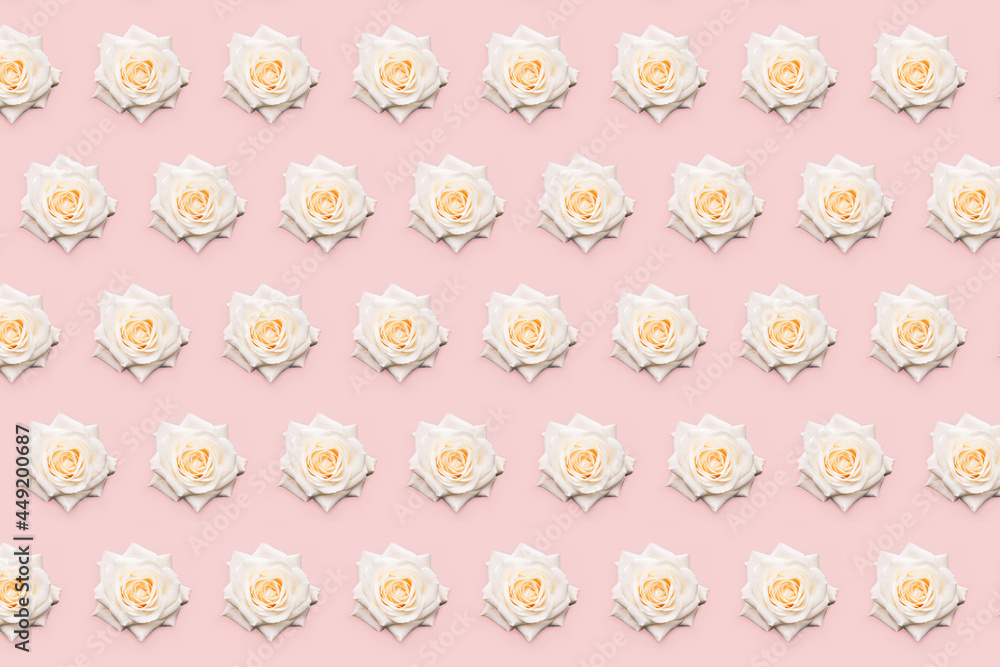 Floral white rose pattern Floral white rose pattern