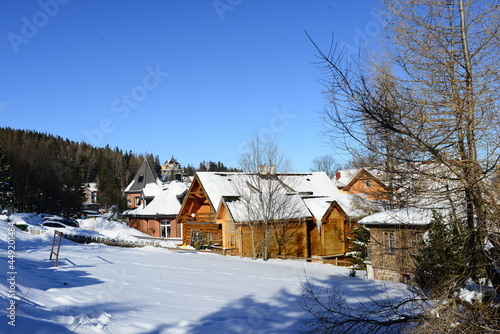 winter views in the mountains and forest