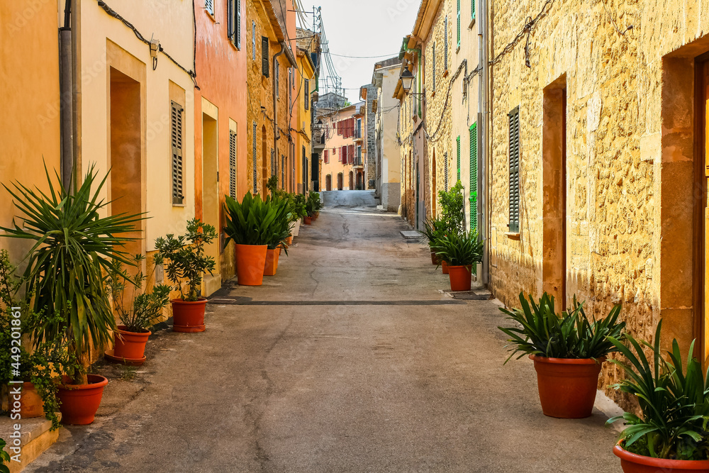 Narrow alley with lined houses and green plants in a village in Mallorca.