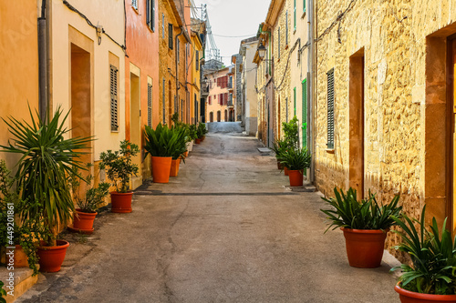 Narrow alley with lined houses and green plants in a village in Mallorca.