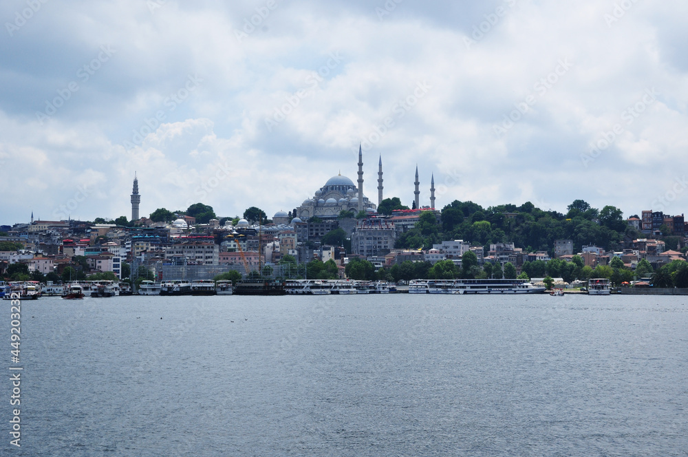 Fototapeta premium Panorama of Istanbul with a view of the Bosphorus and the mosque. Cloudy summer day.