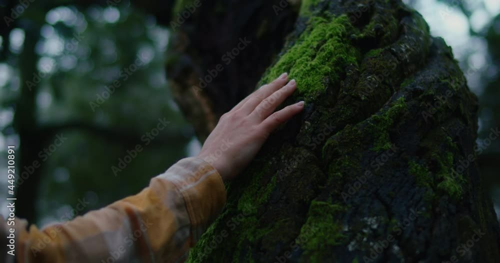 Young woman touch green tree bark covered in moss. Cinematic and beautiful shot of connection with nature, mindfulness of new generation z, protecting and save planet. Environment conscious 