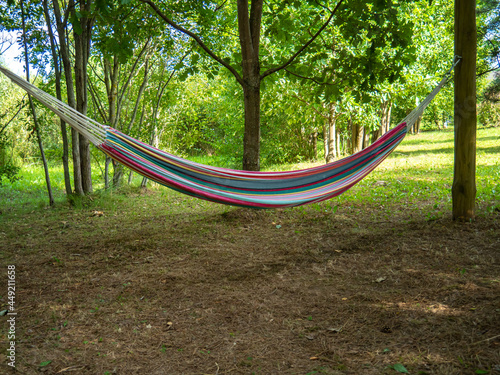 A soft colored hammock for outdoor recreation on a summer day.