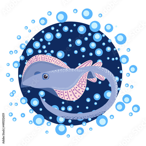 Ramp fish head magnified sea animal wildlife character illustration. Nature underwater ramp skate marine wild ocean zoo electric fish.