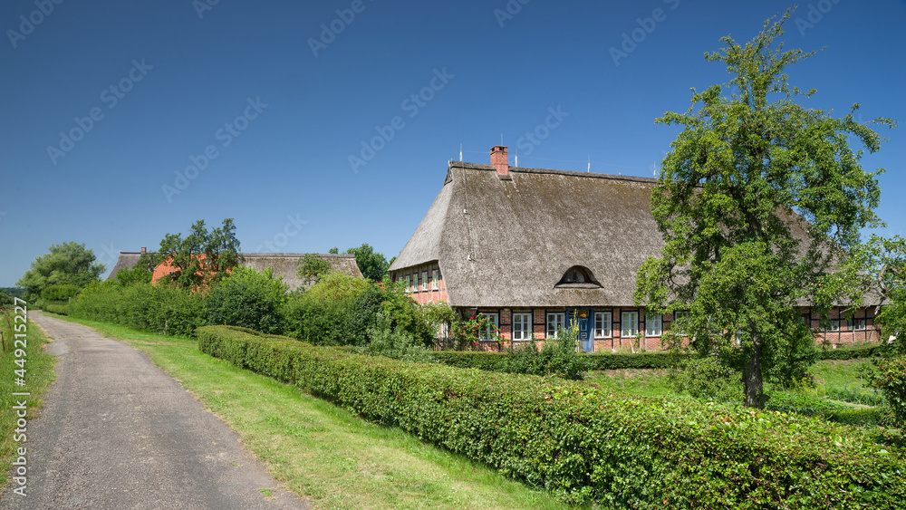 Ortsbild Konau an der Elbe HD Sommer
