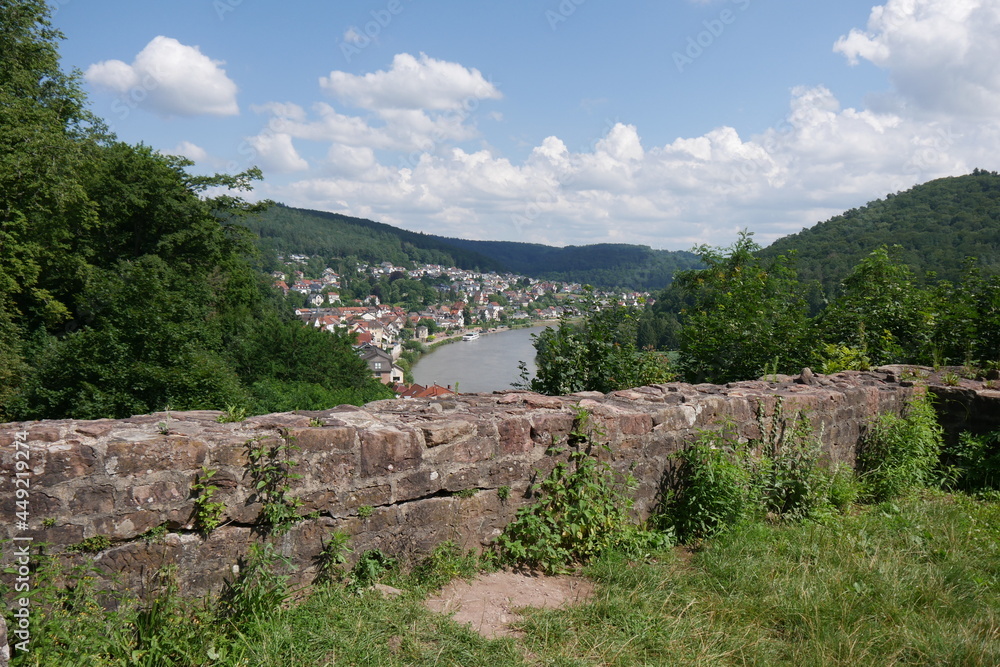 Hinterburg und Neckar in Neckarsteinbach