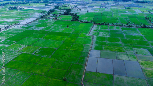 The view of the rice fields during the rainy season.
August 7 2021
Pinrang, Sulawesi Selatan Indonesia. photo
