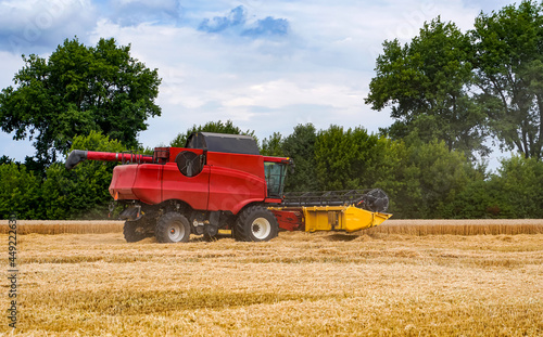 Agricultural harvester farming wheat. Big red combine working in the field.