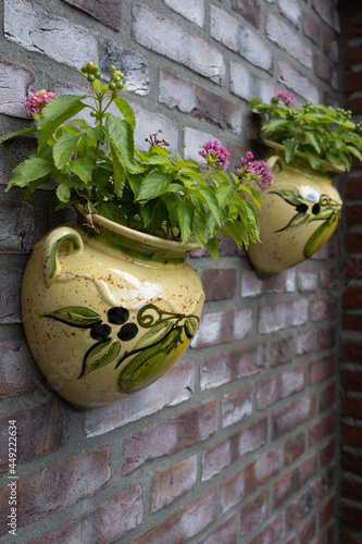 Flowers&Plants 7