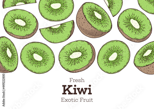 Kiwi fruit hand drawn frame. Colorful. Vector illustration. Design, package, brochure illustration. Hand drawn kiwi fruits design template. Organic fresh food vector illustration.