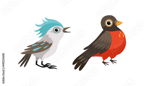 Bird as Winged Feathered Aves with Beaked Jaw Vector Set © topvectors