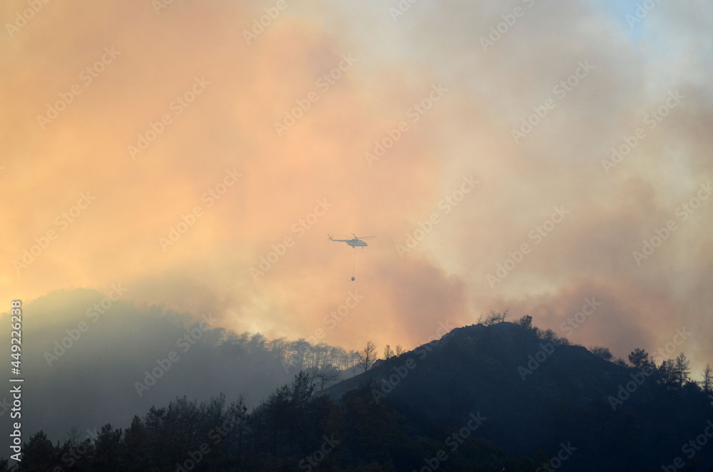  Wildfire in the forest near a resort town (Marmaris, Turkey. August 29,2021)
