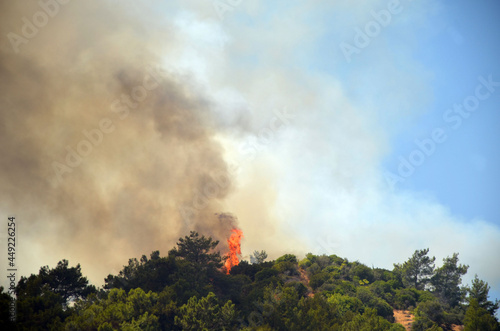  Wildfire in the forest near a resort town (Marmaris, Turkey. August 29,2021)