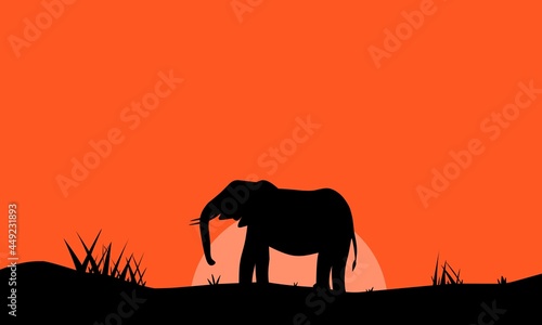 Illustration of an elephant in the savanna at dusk  suitable for elephant day  world animal day etc