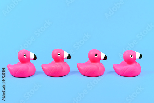 Four pink rubber duck flamingos in a row on blue background with copy space photo