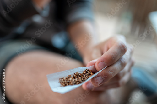 young man rolls a marijuana cigarette. close up