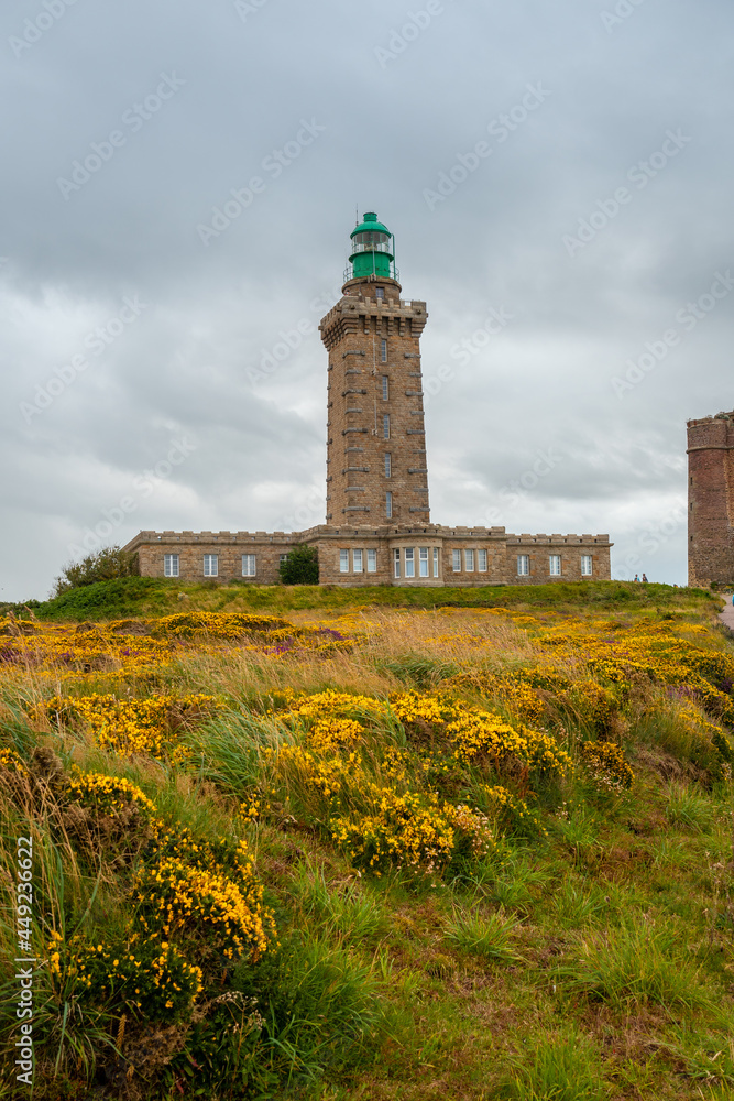 Precious flowers in summer in Phare Du Cap Frehel, it is a maritime lighthouse in Cotes-d´Armor (France). At the tip of Cap Frehel