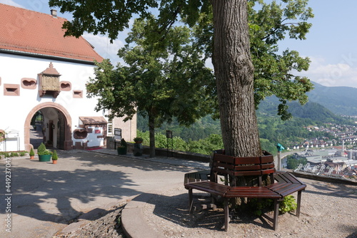 Sitzbank um Baum am Schloss Eberstein
