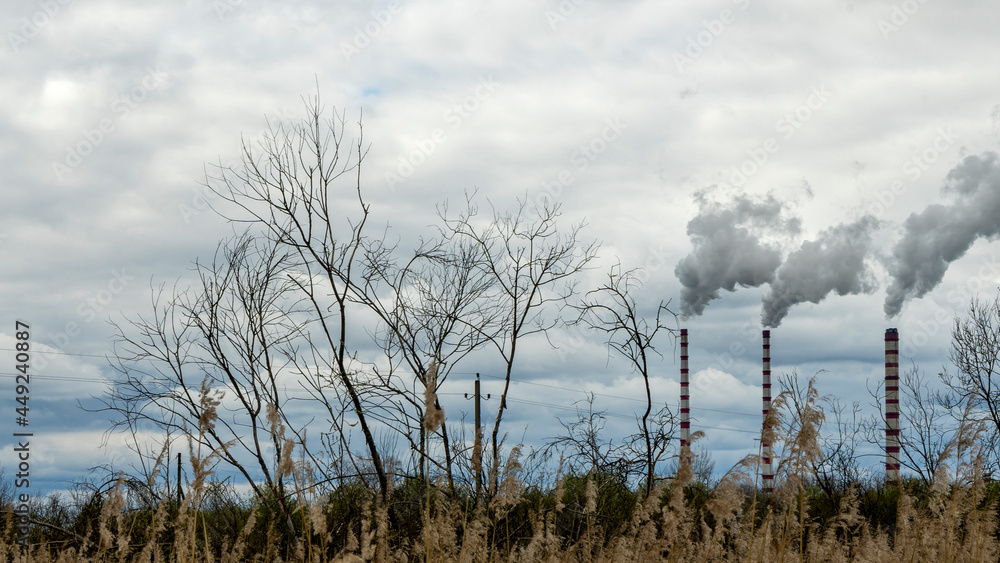 The field with the died and dried-up flowers against the background of large oil refinery. Dramatic sky background. Ecological problem concept. The field with the died and dried-up flowers against the background of large oil refinery. Dramatic sky background. Ecological problem concept.