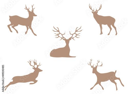 Deer vector icon set on white background. Set of five icons