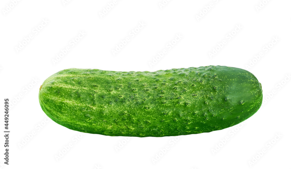 fresh cucumber isolated on white background. fresh cucumber isolated on white background.