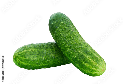 Two fresh cucumbers isolated on white background.