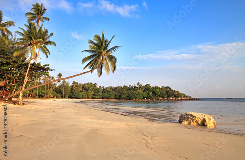 Empty tropical beach with coconut palms  and big stone  Bintan Island  Indonesia.