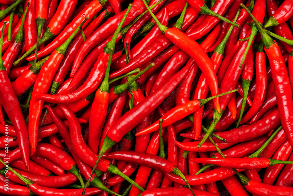 top view of a pile of fresh chili and ripe red peppers Background textures or templates to simulate or enter text.