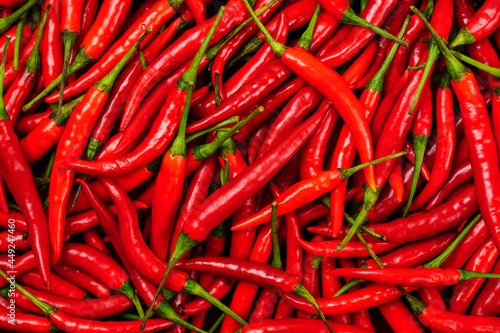 top view of a pile of fresh chili and ripe red peppers Background textures or templates to simulate or enter text.