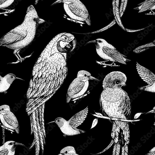 Seamless pattern with red cardinal bird, hummingbird, kingfisher, quetzal, ara parrot, purple honeycreeper. Animals illustration. Tropical birds. Hand drawn vector illustration.