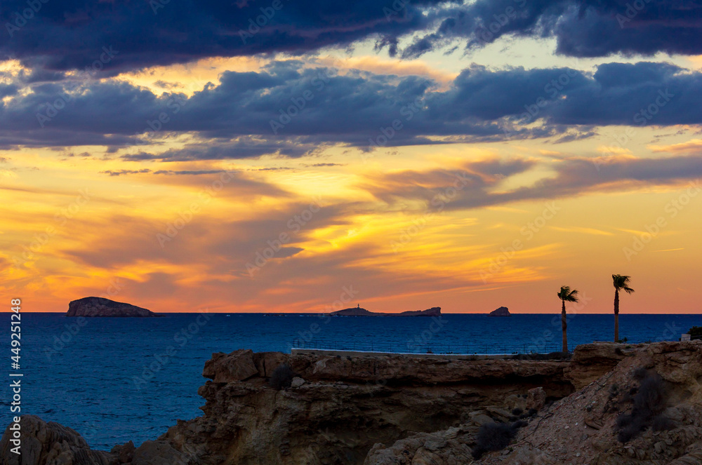 landscape ibiza with palm and red sunset