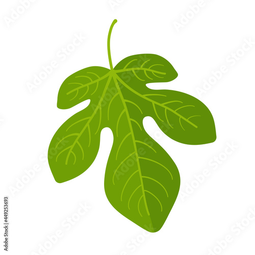 Green fig leaf in vector icon