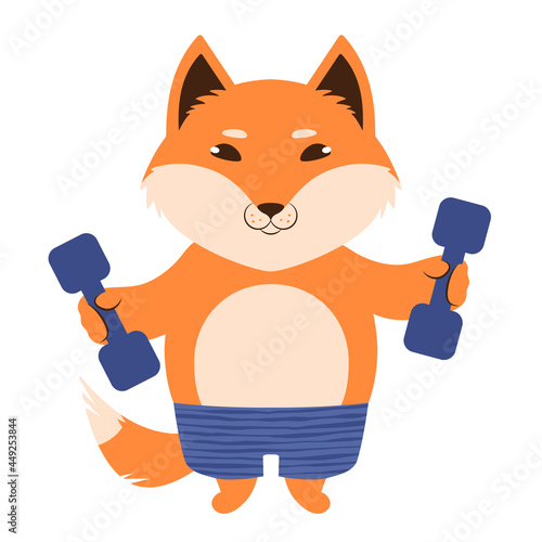 Vector illustration of a cute cartoon fox in stripy shorts with dumbbells