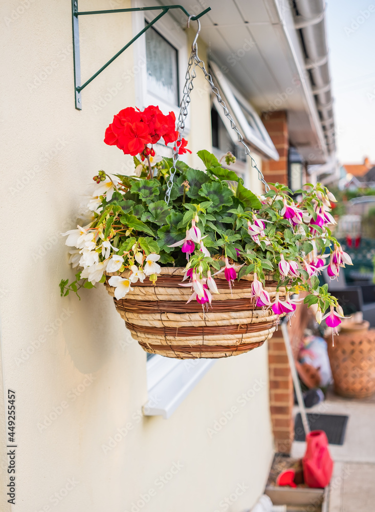 Naklejka premium Hanging basket of bright and vivid flowers hanging on the exterior of a small bungalow