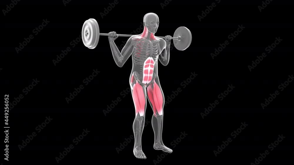 Barbell Parallel Squat